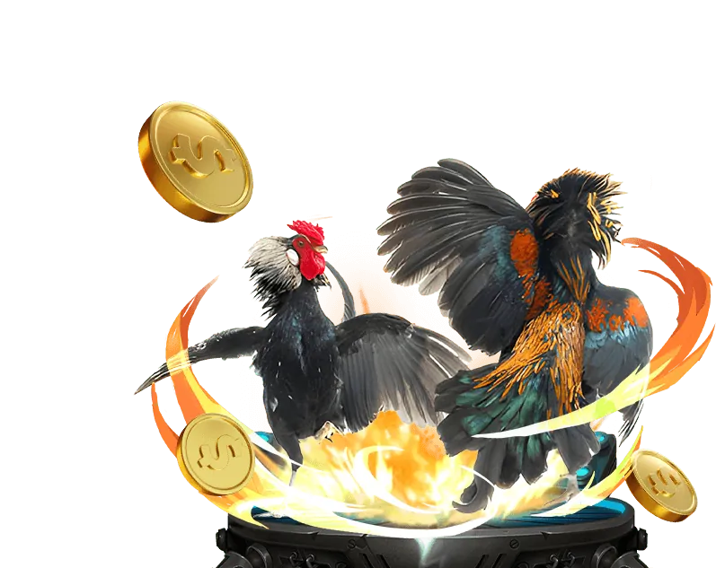 Đá gà trực tuyến game OK365 với các trận đấu sôi động